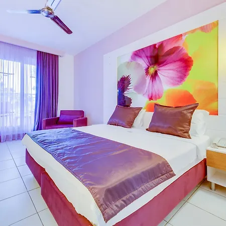 Resort Armonia Village&spa